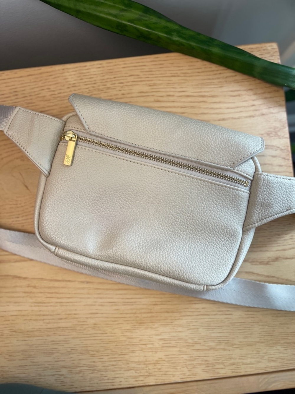 Freshly Picked Birch Crossbody Belt Bag - Picture 2 of 4
